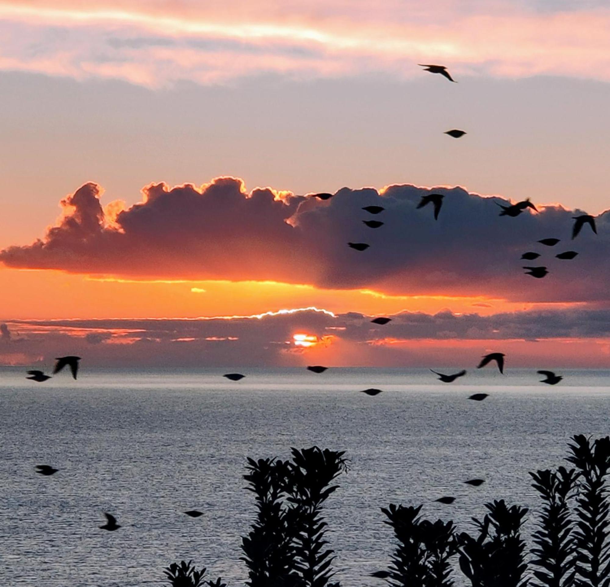 Vue Sur